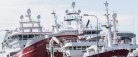 Skagen Havn udviser rekordoverskud