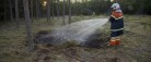 Tåber havde bål i skoven