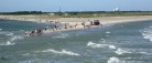 Verdenspressen besøger igen Skagen