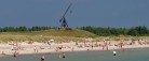 Udviklingen af Fremtidens Strande i Frederikshavn Kommune