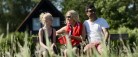 Sommerhusudlejningen overvinder corona