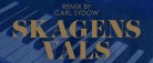 Skagenssymfoni, remix og P2 koncert