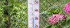 Ingen varmefri på trods af hedebølge
