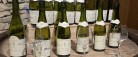 Vincentralen præsenterer ‘Skagen Vinfestival 2023’