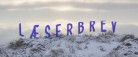 Læserbrev: Skagen, havnen og krydstogter