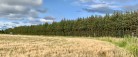 Læserbrev: Støjskærm – nej tak