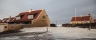 Masser af havskum i Gl. Skagen