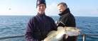 Skagen havfiskefestival 40 års jubilæum