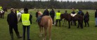 TREC på toppen i Aalbæk plantage lørdag den 26. september.