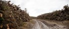 I Ulven og Hugormens rige