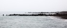 Læserbrev: Kystsikring ved Gl. Skagen