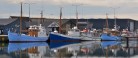 Skagen Fotoklub præsenterer ugens foto