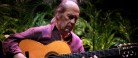 Natbio tyvstarter med flamenco