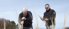 Masser af hjelme plantet ved Guldmajssøen