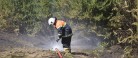 Lille skovbrand ved Rideskolen