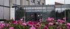 Trivselsrapport i hus: Arbejdsglæden blomstrer blandt kommunens ansatte