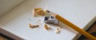 Afskedigelser på vej på skoleområdet i Frederikshavn Kommune