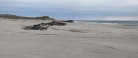 Læserbrev: Sandfodring for millioner er skyllet i havet