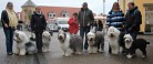 Så ramte Panda-feberen også Skagen