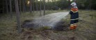 Tåber havde bål i skoven