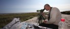 Cettisanger hørt ved Skagen i formiddag – første fund i Danmark! OPD