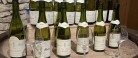 Vincentralen præsenterer ‘Skagen Vinfestival 2023’