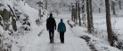 Hele Danmark går sammen for julemærkebørnene