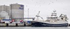 Første landing fisk til Pelagia Danmarks nye fabrik