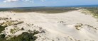 Natur på skoleskemaet: 144.000 børn skal udforske naturen i næste uge