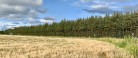 Læserbrev: Støjskærm – nej tak