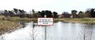 Regnvandsbassiner – for naturen, ikke til badning