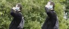 Hjælp politiet: Genkender du denne mand?