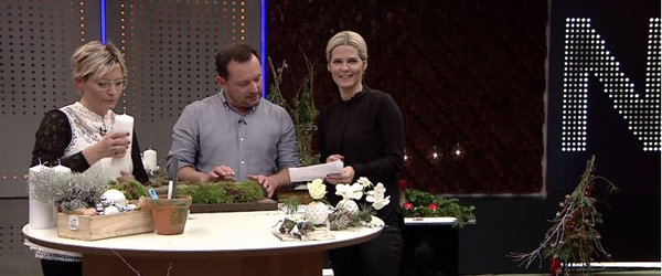 TV2 Nord er et stort hit viser nye seertal fra Gallup