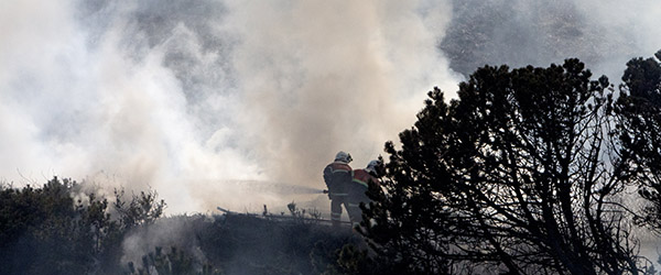 Hedebrand i Kandestederne Hedebrand i Kandestederne