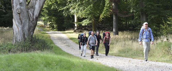 Kom godt i gang med Vandring