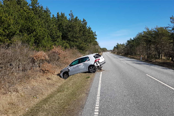 Rådyr på vejen fører til sigtelse for spirituskørsel Rådyr på vejen fører til sigtelse for spirituskørsel