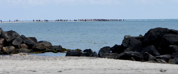 Kysten fra Grenen til Hals med i risikovurdering 100 år frem Kysten fra Grenen til Hals med i risikovurdering 100 år frem