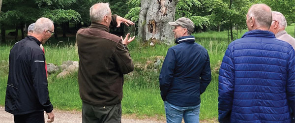 Har du tjek på (liv)-stilen mand? Har du tjek på (liv)-stilen mand?