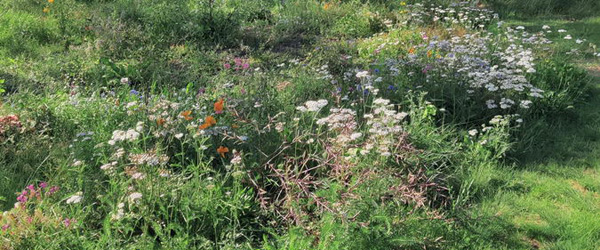 Læser opfordre til biodiversitet Læser opfordre til biodiversitet